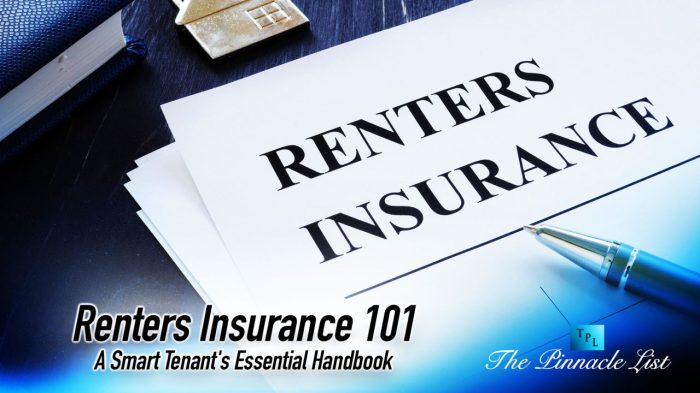 Renters Insurance 101: A Smart Tenant’s Essential Handbook – The ...
