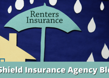 Renters Insurance 101: Everything You Need to Know! - Blog | Shield ...