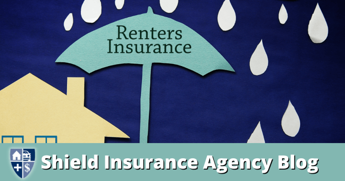 Renters Insurance 101: Everything You Need to Know! - Blog | Shield ...
